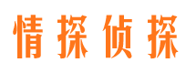 饶河侦探公司